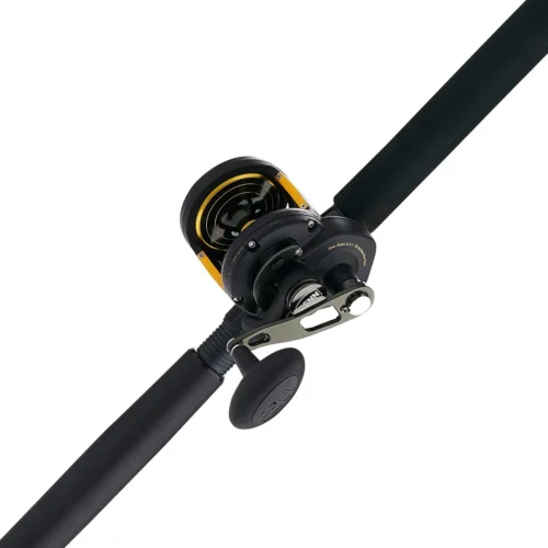 PENN Squall II Lever Drag Combo